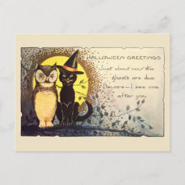 Early 1900s Friendly Cat and Owl Vintage Halloween Postkarte