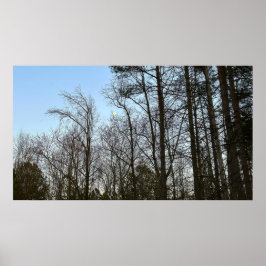 Early Abend Moon, Poster