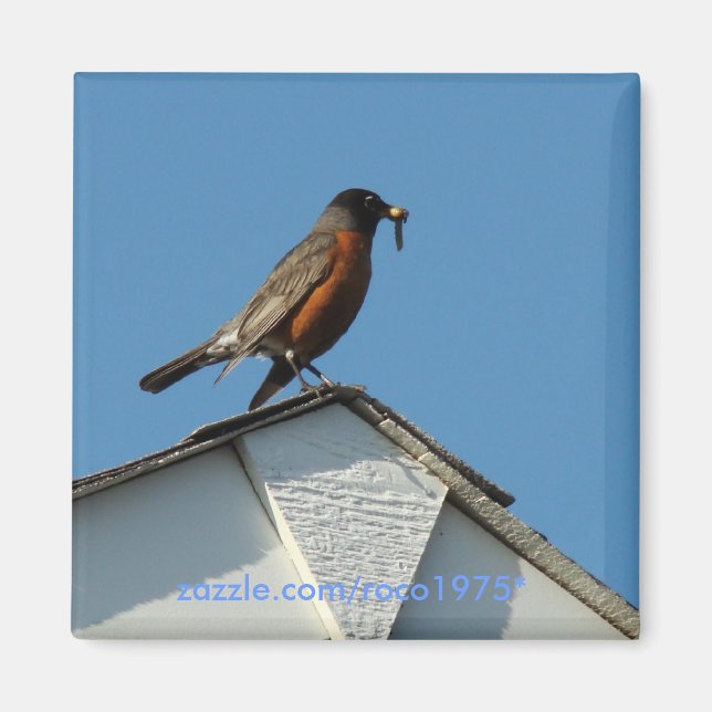 Early Bird Magnet (Vorne)