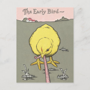Early Bird Real Anwesen Prospektion Postkarte
