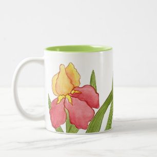 Early Iris Tasse