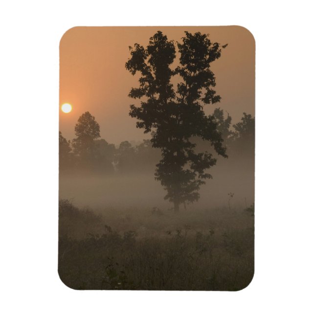 Early morning, rising sun and ground fog magnet (Vertikal)