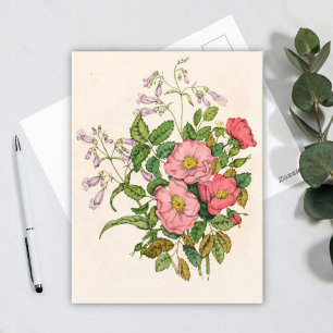 Early Wild Rose, Pentstèmon Beard-Tongue (1868) Postkarte