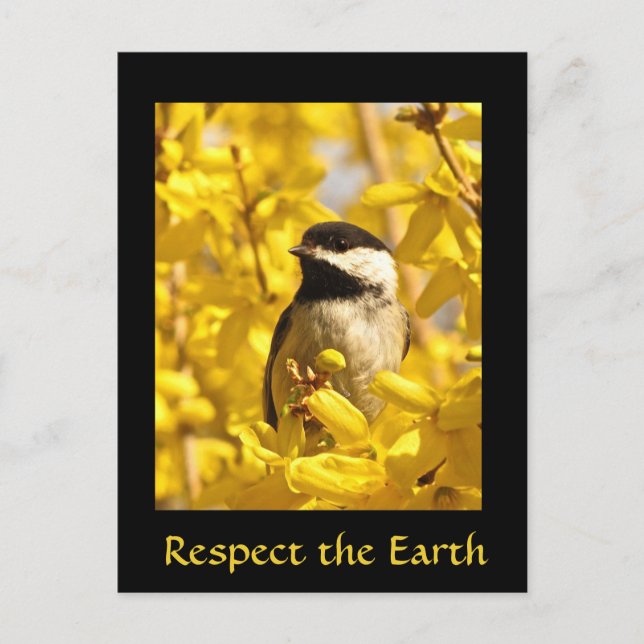 Earth Day Chickadee Bird Gelbe Blumen Postkarte (Vorderseite)