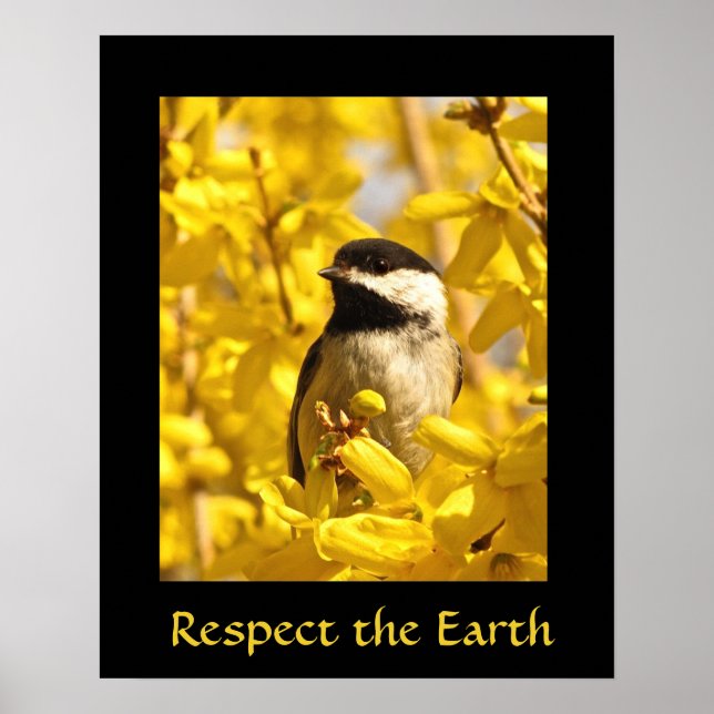 Earth Day Chickadee Bird in Gelben Blumen Print Poster (Vorne)