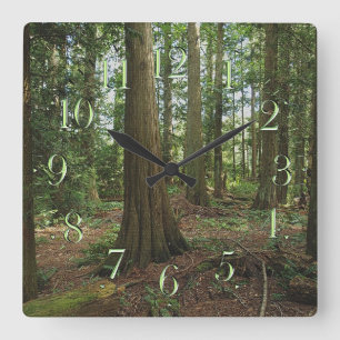 Earth Day Scenic Forest Nature-lovers Clock Quadratische Wanduhr