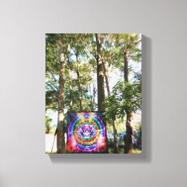 Earth Freq 2011 : Arts & Decor Wrapped Canvas Leinwanddruck (Vorderseite)