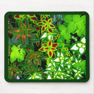 Earth Lover_ Mousepad