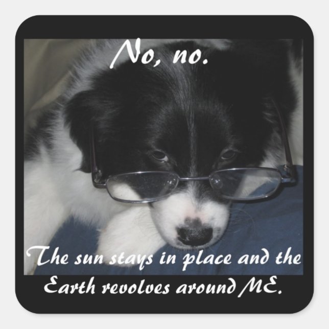 "Earth Revolves Around ME" Stickers - Set von 20 (Vorderseite)