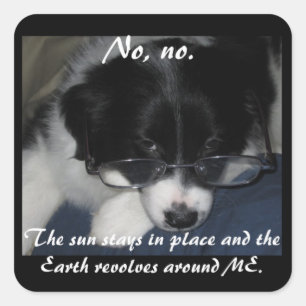 "Earth Revolves Around ME" Stickers - Set von 20