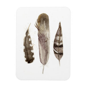 Earthtone Feathers II Magnet