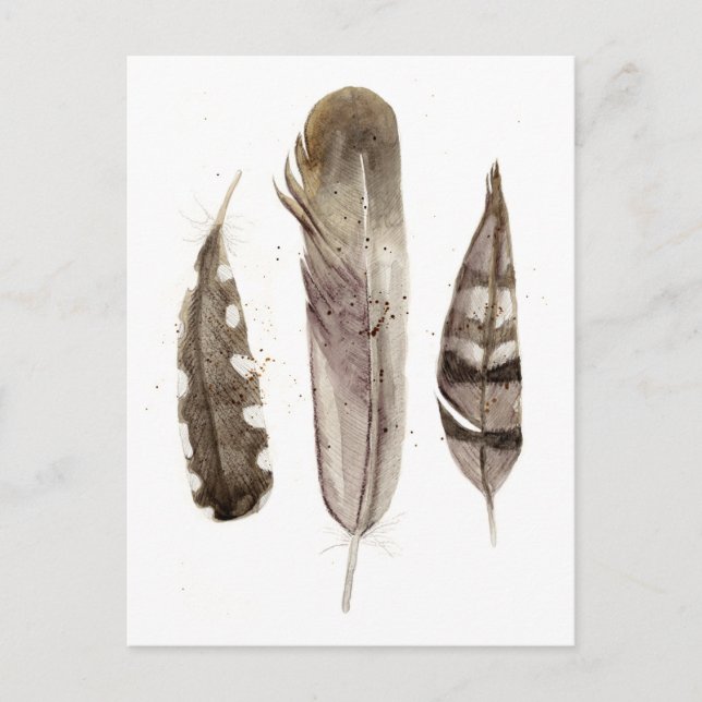 Earthtone Feathers II Postkarte (Vorderseite)