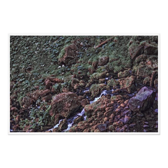 EarthTone Fotodruck (Vorne)