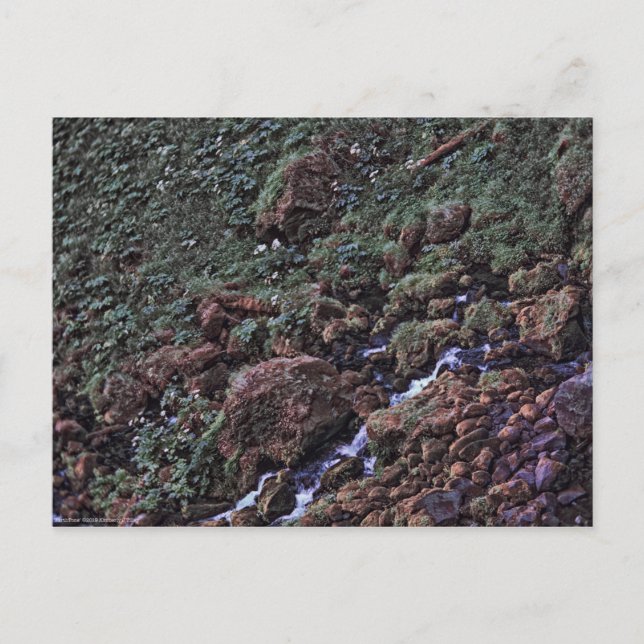 EarthTone Postkarte (Vorderseite)