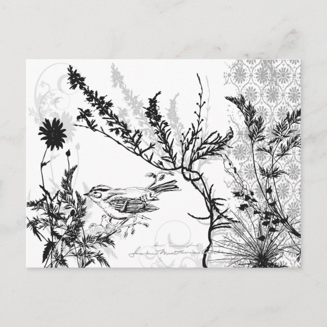 Earthy B/W Postcard Postkarte (Vorderseite)