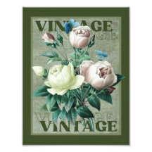 Earthy Green Vintag Heirloom Rose Fine Art Print