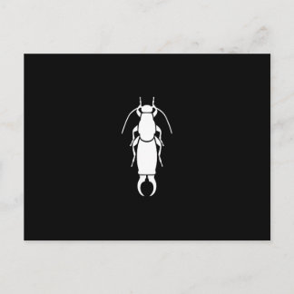 Earwig Postkarte