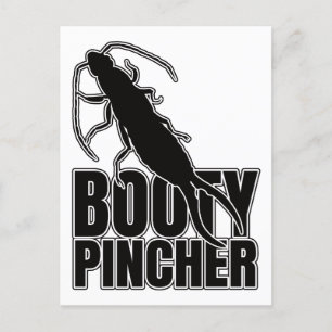 Earwigs Earwig Bug - Entomology Geek Postkarte