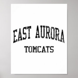 East Aurora High School Hs Aurora Il Vintage Srts Poster