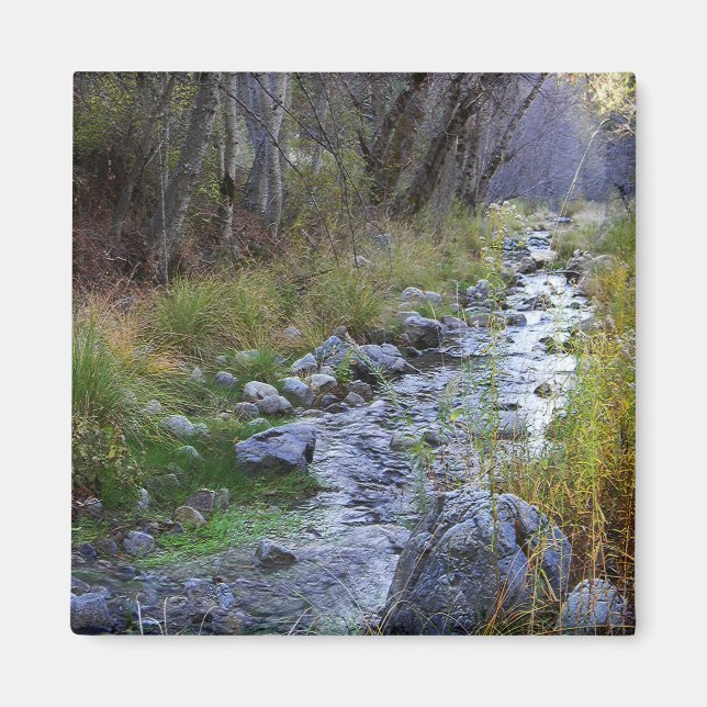 East Fork/Hayfork Bach...... Magnet (Vorne)