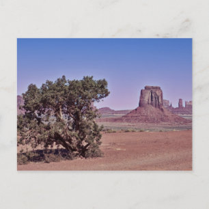 East Mitten Bute Postkarte