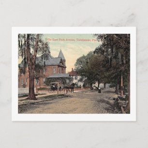 East Park Ave., Tallahassee, Florida Vintage auf D Postkarte