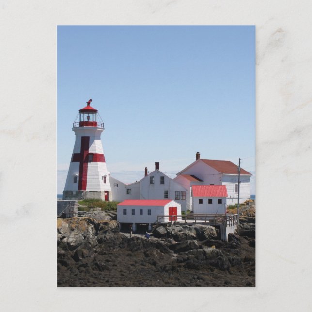 East Quoddy Lighthouse Postkarte (Vorderseite)