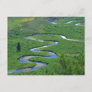 East River in der Nähe der Stadt Crested Butte. Postkarte