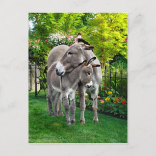 "Easter & Baby Eno" Postkarte