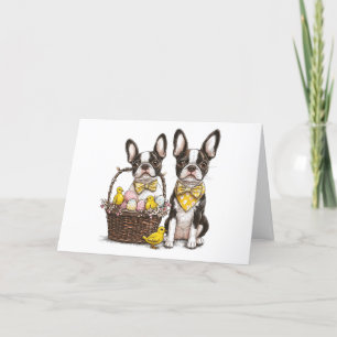 Easter Boston Terrier Dogs Feiertagskarte