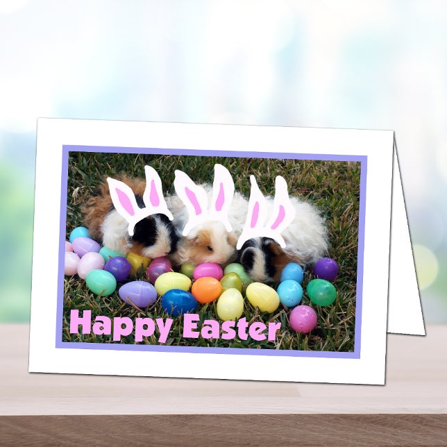 Easter Bunny Guinea Pig Card Feiertagskarte (Von Creator hochgeladen)
