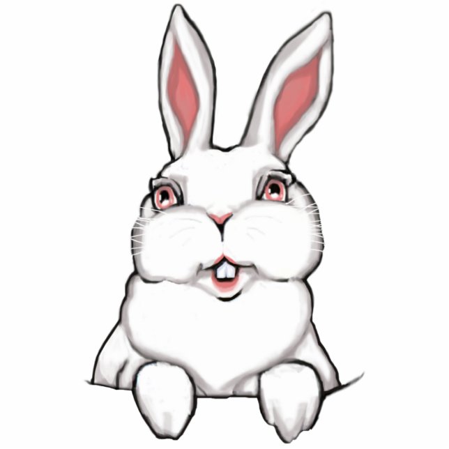 Easter Bunny Rabbit Freistehende Fotoskulptur (Vorne)