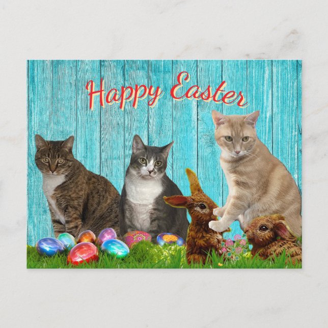 Easter Card - Cats and Bunnies Feiertagspostkarte (Vorderseite)