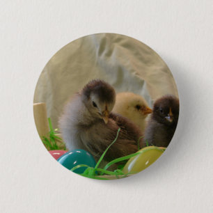 Easter Chicks Button