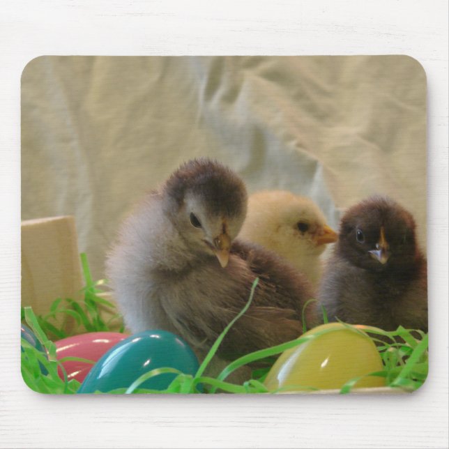 Easter Chicks Mousepad (Vorne)