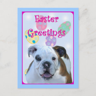 Easter Greetings bulldog Feiertagspostkarte