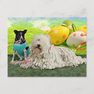 Easter - Komondor - Zoey - Basenji X - Jasper Feiertagspostkarte