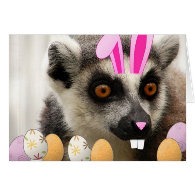 Easter Lemur (Vorderseite (Horizontal))