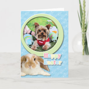 Easter - Yorkshire Terrier - Sassy Feiertagskarte