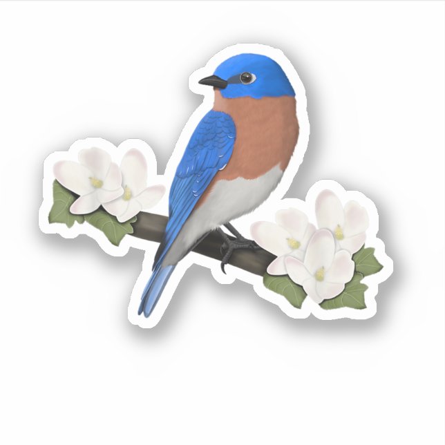 Eastern Bluebird Bird Birdlover Birdwatcher Aufkleber (Vorderseite)