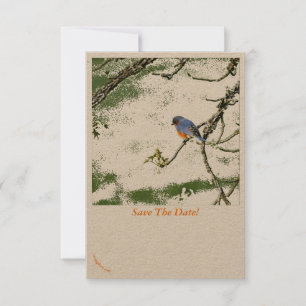Eastern Bluebird/Champagne Gläser Save the Date ~ 