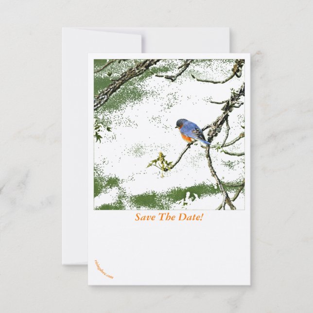 Eastern Bluebird/Champagne Gläser Save the Date ~  (Vorderseite)
