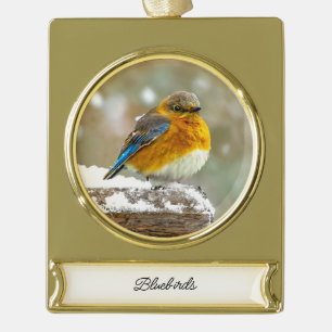 Eastern Bluebird in Snow - Original Foto Banner-Ornament Gold