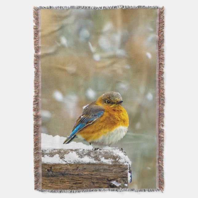 Eastern Bluebird in Snow - Original Foto Decke (Vorderseite Vertikal)