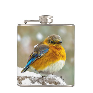 Eastern Bluebird in Snow - Original Foto Flachmann