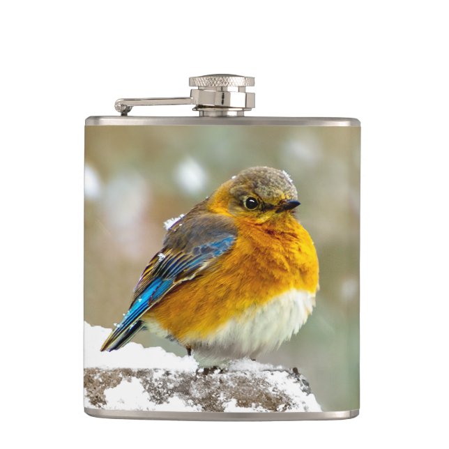 Eastern Bluebird in Snow - Original Foto Flachmann (Vorderseite)