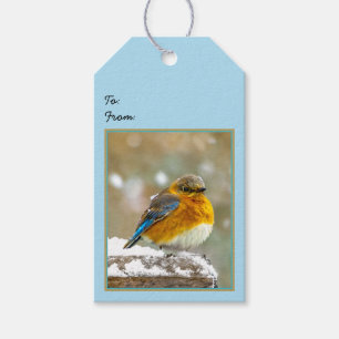 Eastern Bluebird in Snow - Original Foto Geschenkanhänger