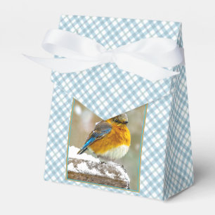 Eastern Bluebird in Snow - Original Foto Geschenkschachtel