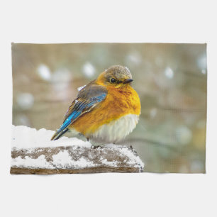 Eastern Bluebird in Snow - Original Foto Geschirrtuch
