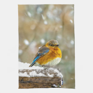 Eastern Bluebird in Snow - Original Foto Geschirrtuch